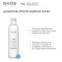 BABE HAIR CARE - Шампунь проти лупи для жирної шкіри голови 250 мл